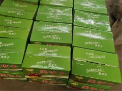 8月10日，利菲爾特開展高溫送清涼活動